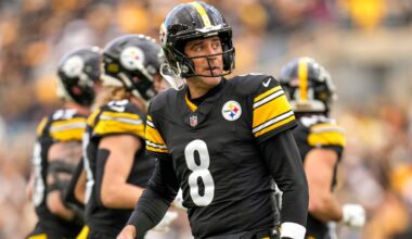Steelers QB injures wrist in Week 11 game