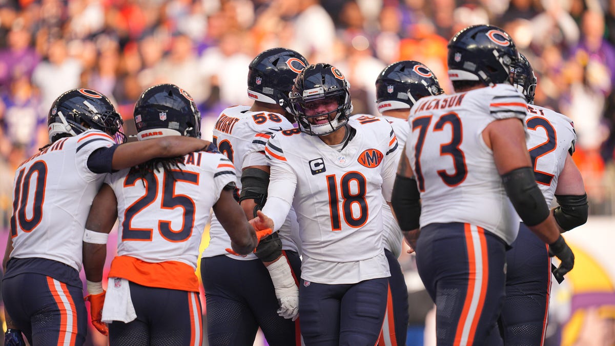Pittsburgh Steelers vs Chicago Bears picks, odds for NFL Week 12 game