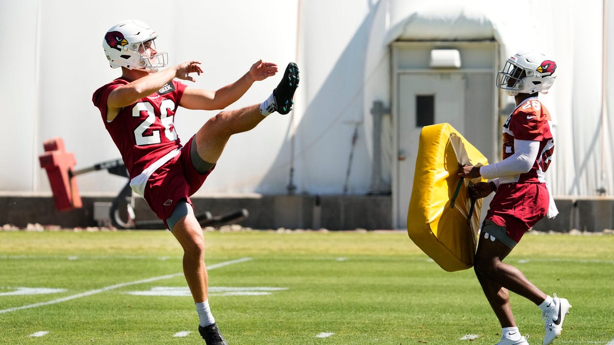 Arizona Cardinals sign veteran punter Matt Haack