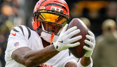 Fantasy football Week 12 WR rankings (2025)