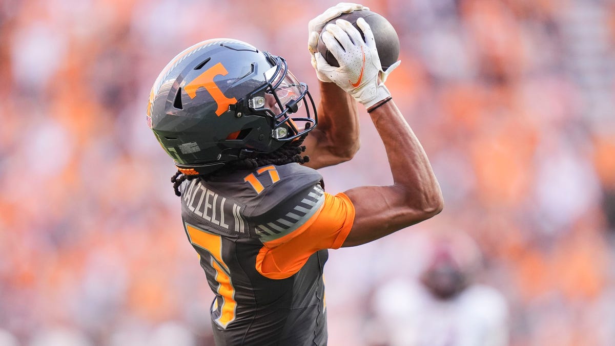 Falcons take WR Chris Brazzell