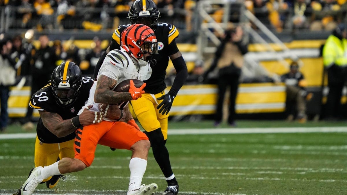 Bengals vs. Ravens odds, tips and betting trends