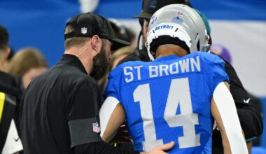 Lions WR suffers ankle sprain