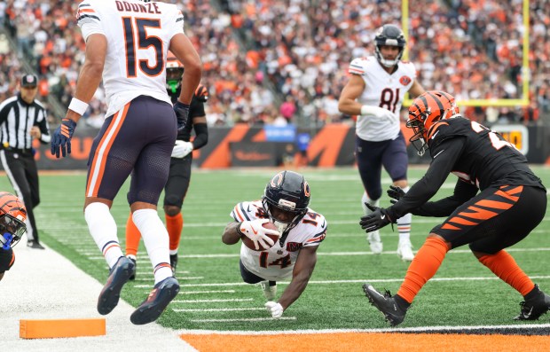 Bears wide receiver Olamide Zaccheaus (14) dives for the end...