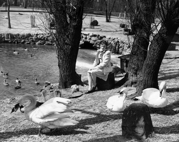 A woman sits among the birds at the Lincoln Park Zoo Rookery in 1942. (Chicago Tribune historical photo)