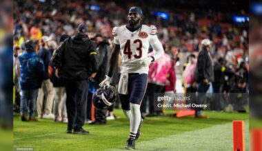 Bears Make Roster Moves Ahead Of Steelers Game