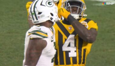 NFL Hits Steelers' Metcalf With Hefty Fine For Actions Against Packers