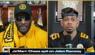 'I'd Of Went To Jail:' James Harrison Has Epic Rant Reacting To Ja'Marr Chase