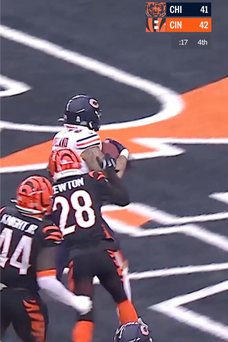 Bears Outlast Bengals in Wild Back-and-Forth Game