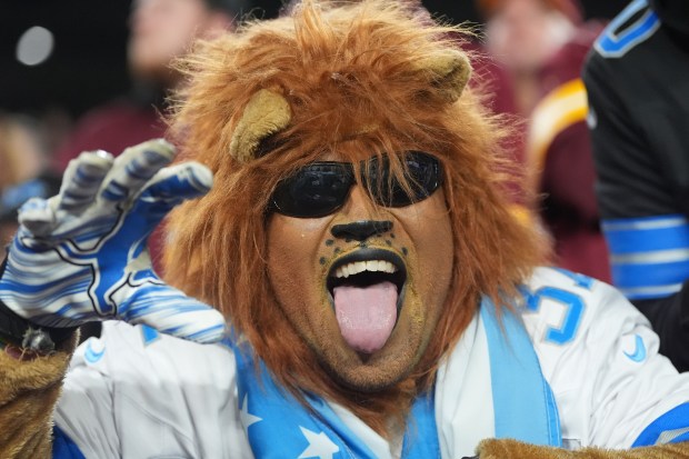 A Detroit Lions fan is seen during the first half...