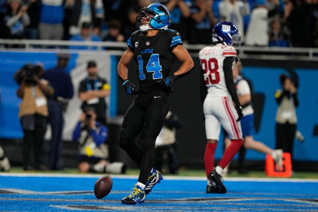 Detroit Lions wide receiver Amon-Ra St. Brown (14) celebrates his...