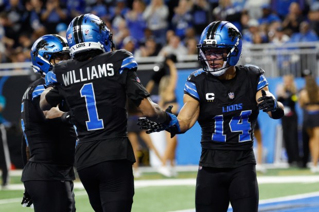 Detroit Lions wide receiver Amon-Ra St. Brown (14) receives congratulations...