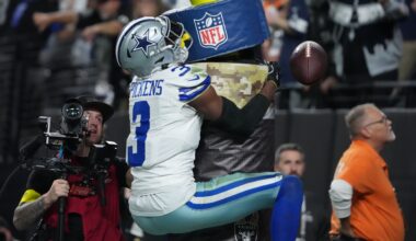 NFL Week 11 Recap - Fantasy Football Usage Model