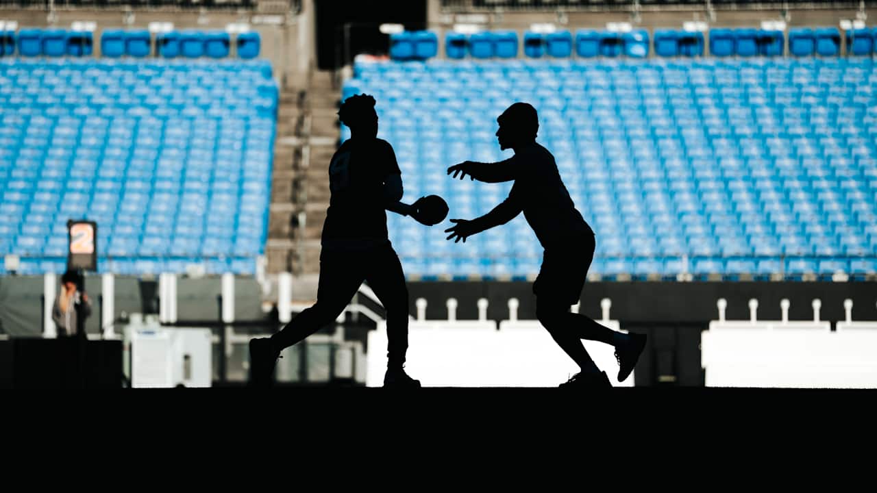 Panthers coaches, players agree on need for balance in the offense