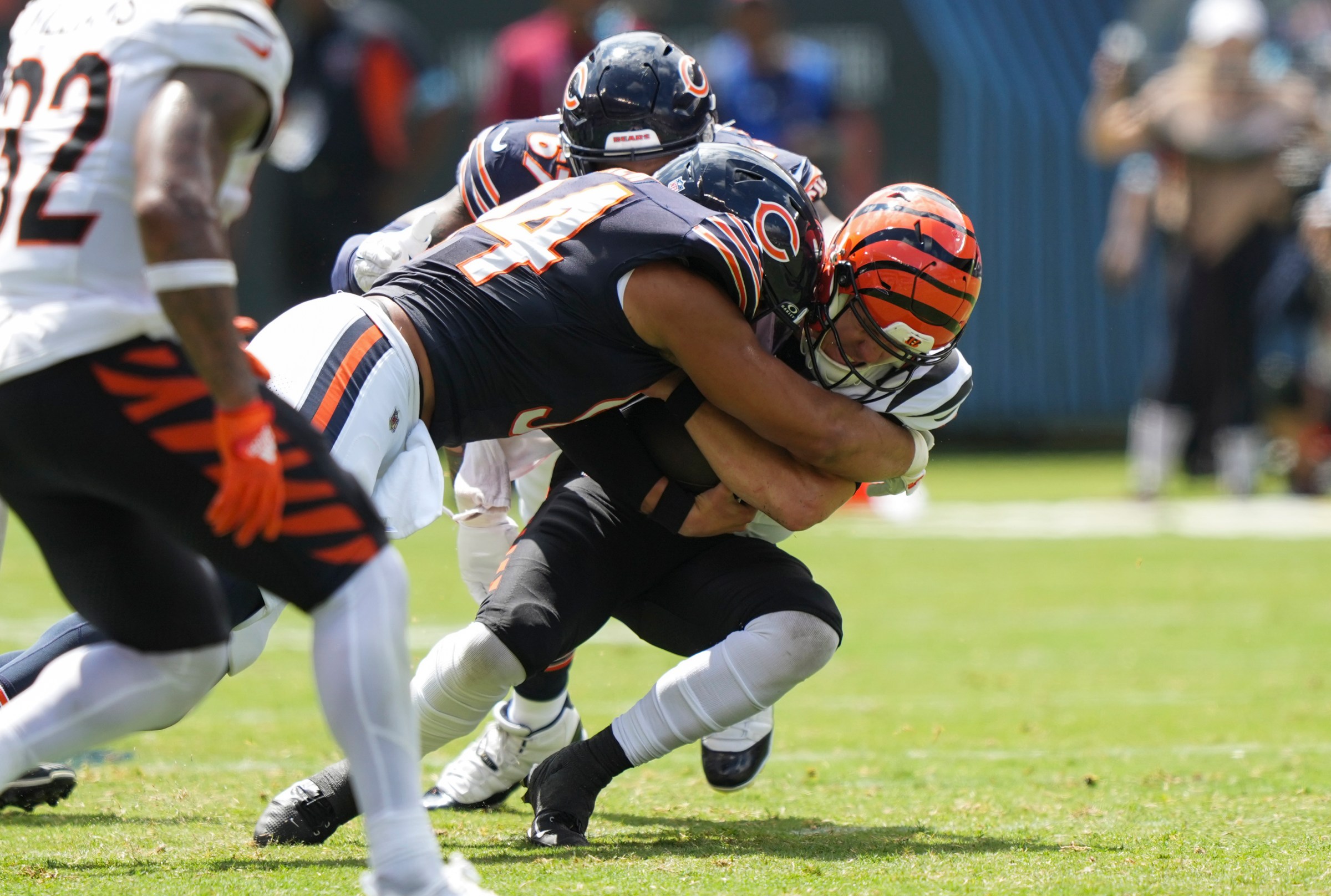 CHICAGO, IN - AUGUST 17: Logan Woodside #11 of the Cincinnati Bengals is tackled by Austin Booker #94 of the Chicago Bears and Keith Randolph Jr. #67 during the second quarter of an NFL preseason football game, at Soldier Field on August 17, 2024 in Chicago, Illinois. (Photo by Todd Rosenberg/Getty Images)