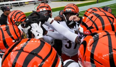 5 general manager options for the Bengals