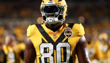 Steelers TE Darnell Washington misses practice with surprise injury