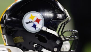 Pittsburgh Steelers Fan Survey: Week 13
