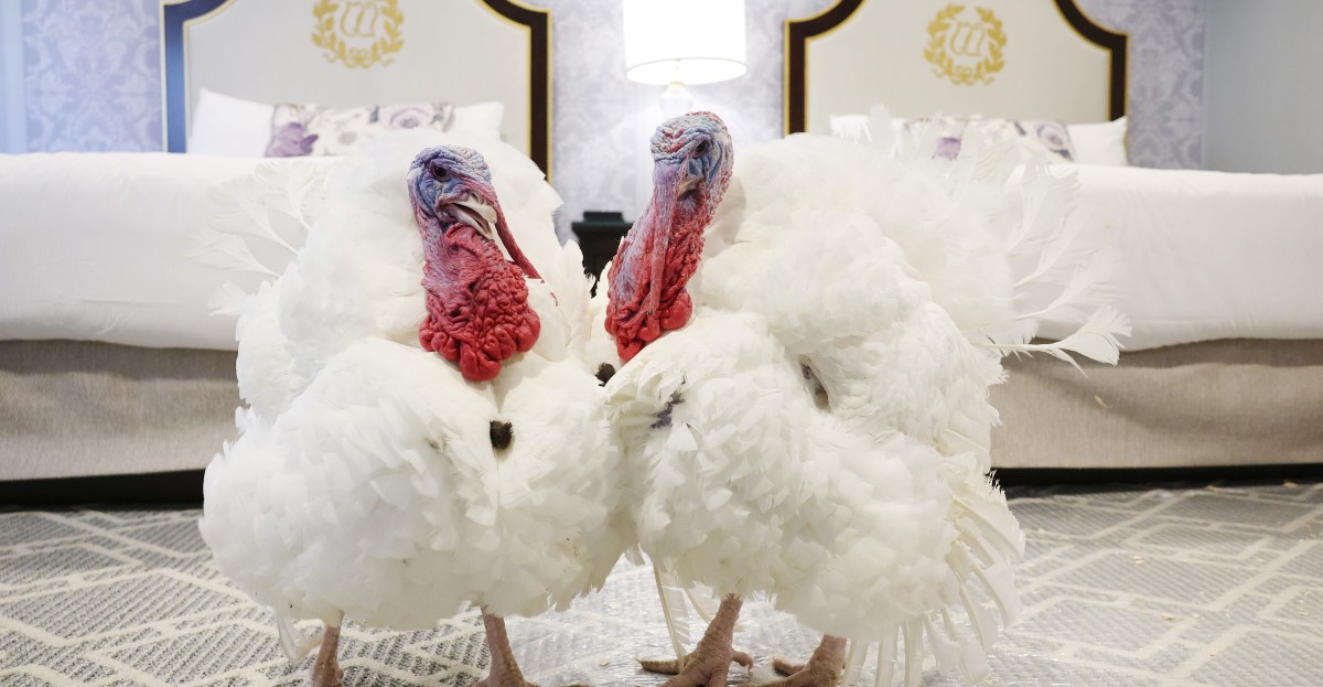 New York Jets News: Jets’ Fields surprised by benching, still sees self as a QB1