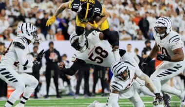 AFC North Standings Week 11