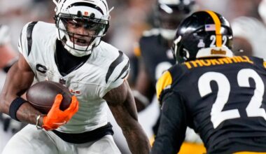 Updated Betting Odds to win the AFC North