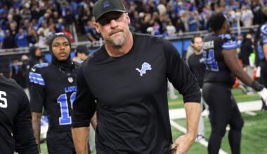 Updated NFL playoff picture: Detroit Lions get little help in Week 12