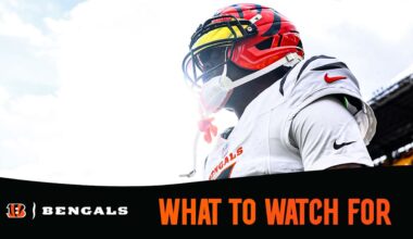 Bengals Patriots Week 12 Preview What to Watch For