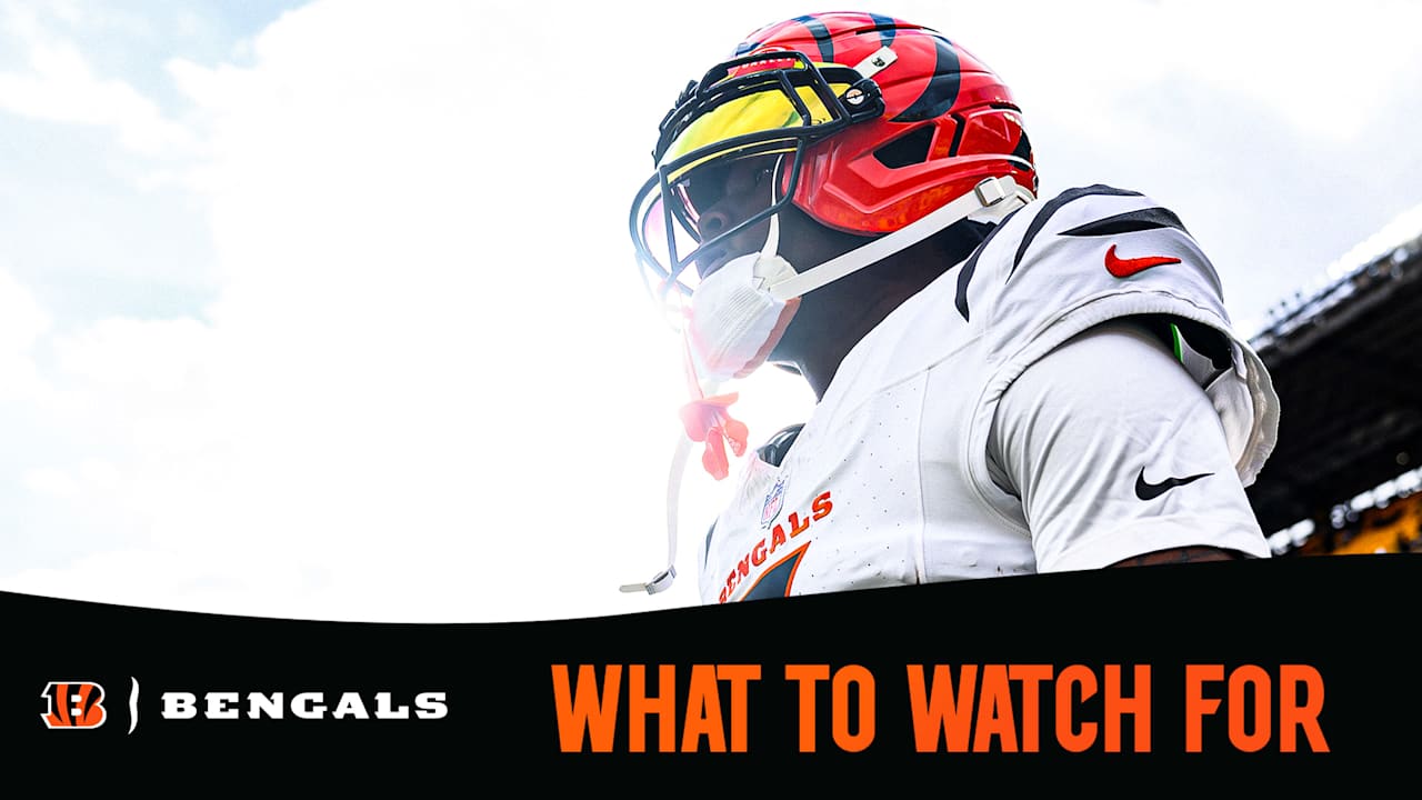 Bengals Patriots Week 12 Preview What to Watch For