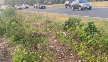 Md. woman charged in deadly 2024 crash that killed NFL draftee pleads guilty