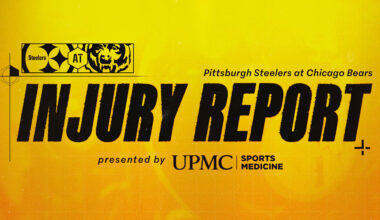 Week 12 Injury Report (Bears)