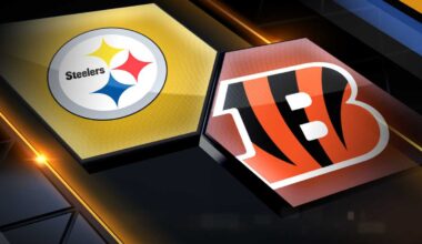 Pittsburgh Steelers vs. Cincinnati Bengals Week 11 preview