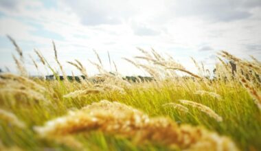 Breezy Thursday with upper 60s, but bundle up for the Broncos game