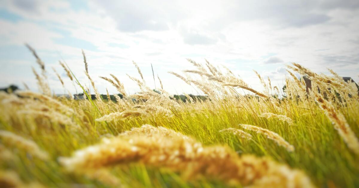 Breezy Thursday with upper 60s, but bundle up for the Broncos game