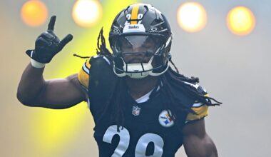 Steelers Lose Rising Defensive Star to Injury