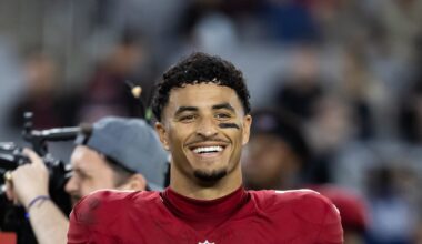 Arizona Cardinals Week 15 DFS and Fantasy Football Guide Featuring Michael Wilson