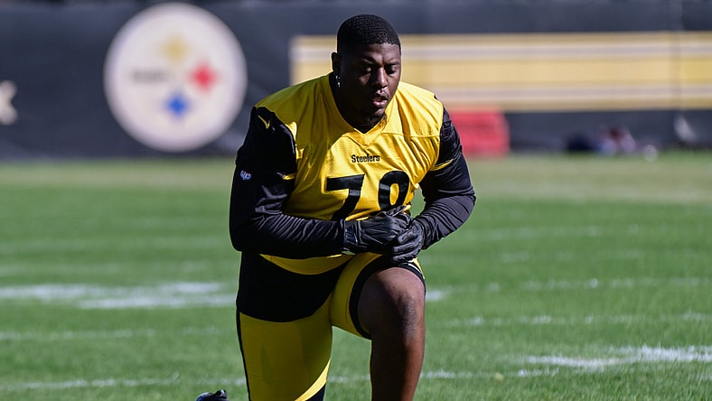 Pittsburgh Steelers DT Brodrick Martin