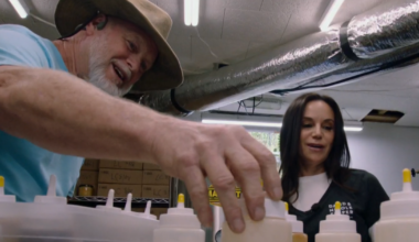 Panthers owners help North Carolina bee farm recover after Hurricane Helene