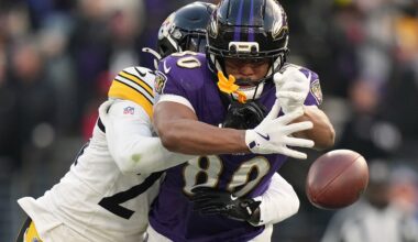 NFL news: Ravens face crucial questionable call in loss to Steelers