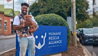 Washington Commanders’ Jake Martin Makes Today’s Pet Vaccine Clinic Free