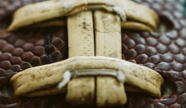 No, Notre Dame doesn’t owe college football a Bowl Game | News, Sports, Jobs