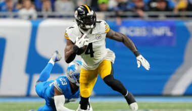 Steelers star WR out 2 games for shoving fan