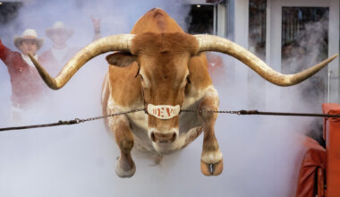 Texas Longhorns report 6 NCAA violations related to sports betting