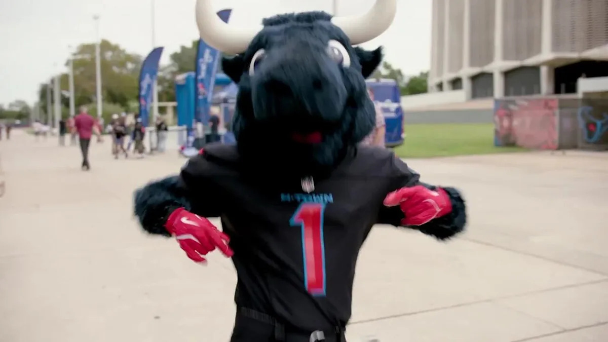 Houston Texans 'Fan of the Year' 'GMFB'