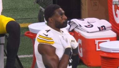 Detroit Lions fan denies using racial slurs in altercation with Steelers’ DK Metcalf at Ford Field