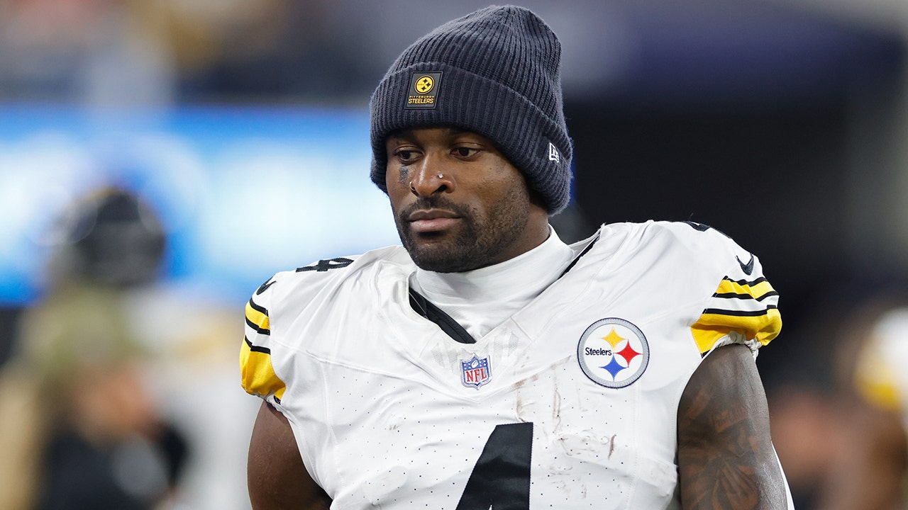 NFL news: Lions fan in altercation with Steelers star denies using racial slurs