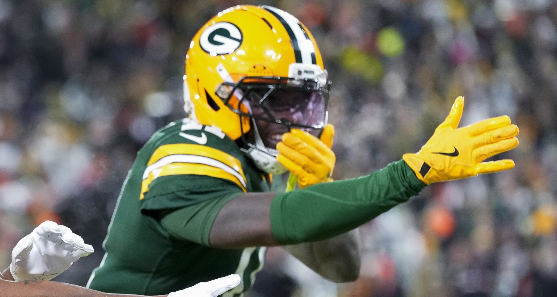 NFL Brings Hammer Down on 2 Packers Ahead of Ravens Game