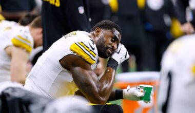 Pittsburgh Steelers' playoff fate tied to DK Metcalf's two-game suspension and a Detroit Lions fan