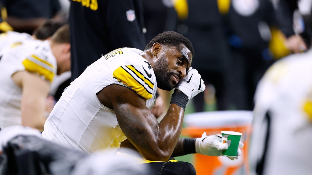 Pittsburgh Steelers' playoff fate tied to DK Metcalf's two-game suspension and a Detroit Lions fan