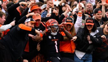 Bengals blast Cardinals for second straight blowout victory
