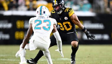 Dolphins vs Steelers live online: stats, score and highlights | NFL Week 15